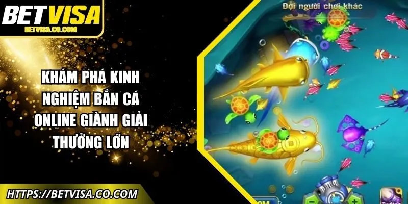 kham-pha-kinh-nghiem-ban-ca-online-anh-dai-dien