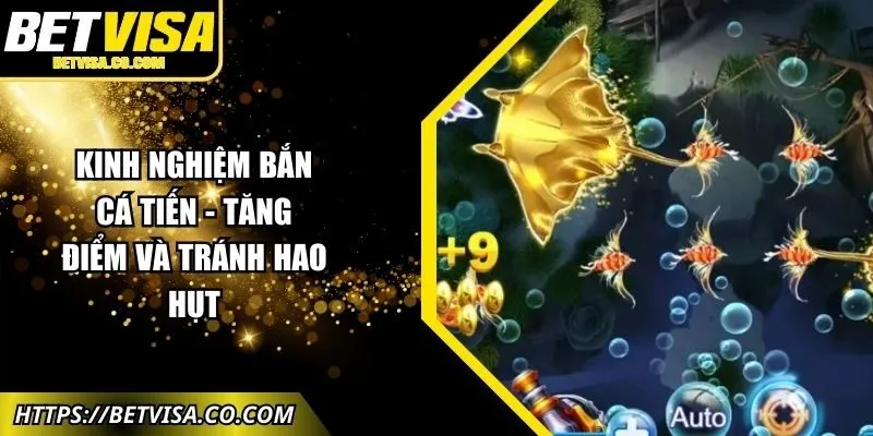 kinh-nghiem-ban-ca-tien-anh-dai-dien