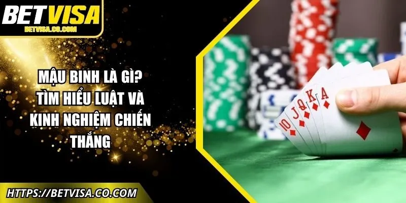 mau-binh-la-gi-anh-dai-dien