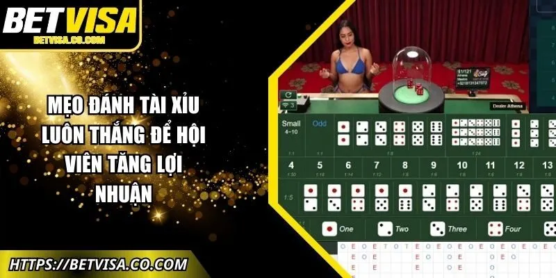 meo-danh-tai-xiu-luon-thang-anh-dai-dien