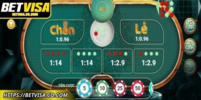 Chọn chuỗi cầu và thời gian nuôi hợp lý theo nguồn vốn